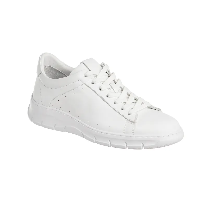 Купить Кеды мужские Россия 22819