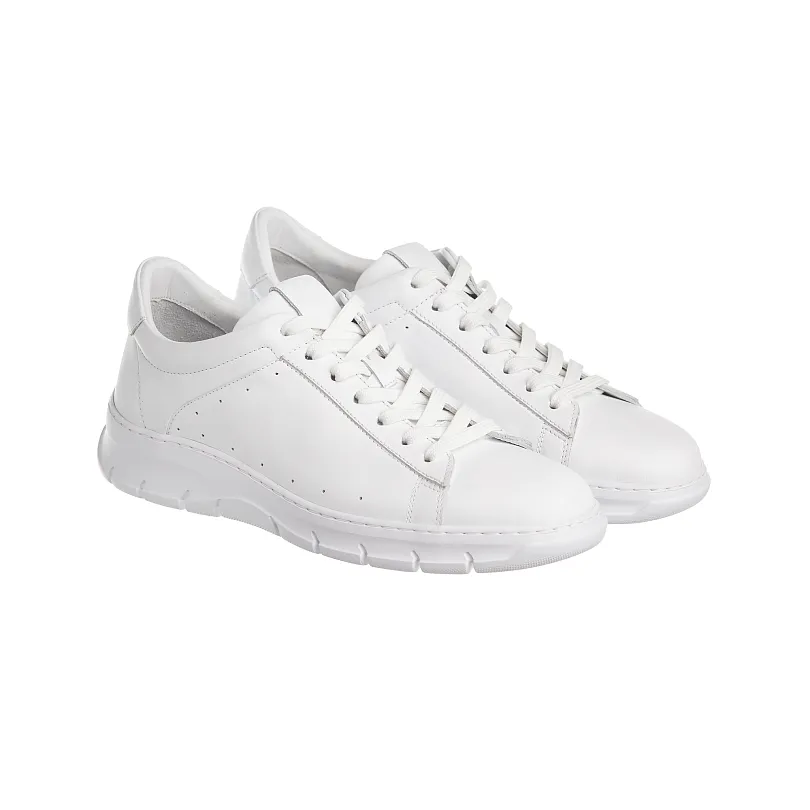 Купить Кеды мужские Россия 22819